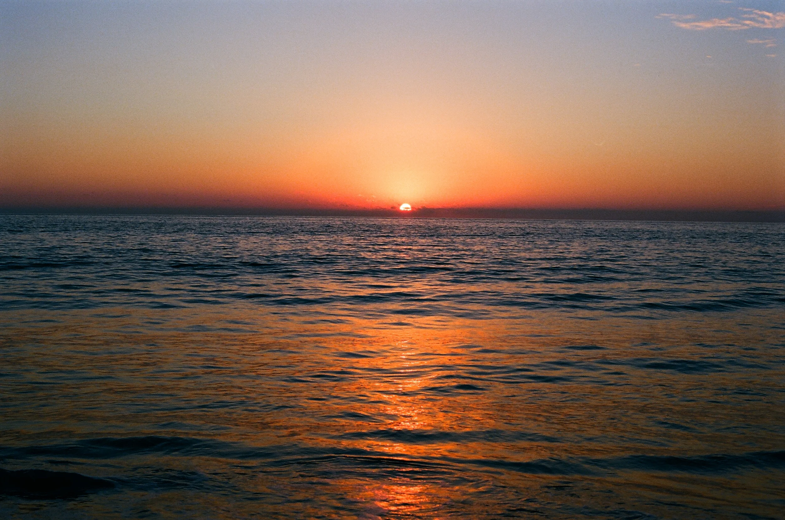 04900036.JPG