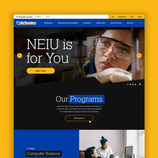 NEIU Thumbnail.jpg