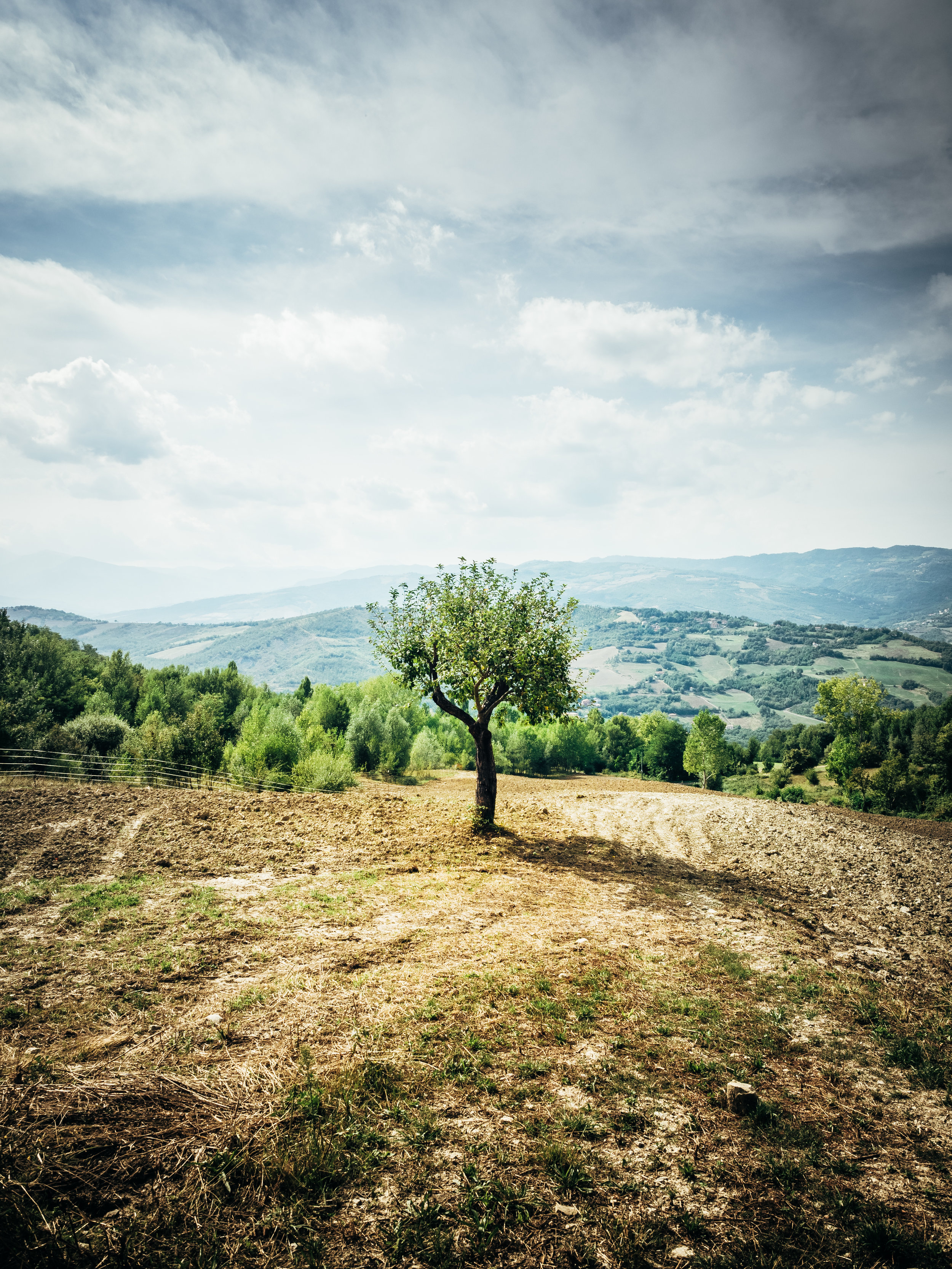 After a short hike we reached the beautiful village of La Scola and suddenly layers of hills started to appear in the distant.