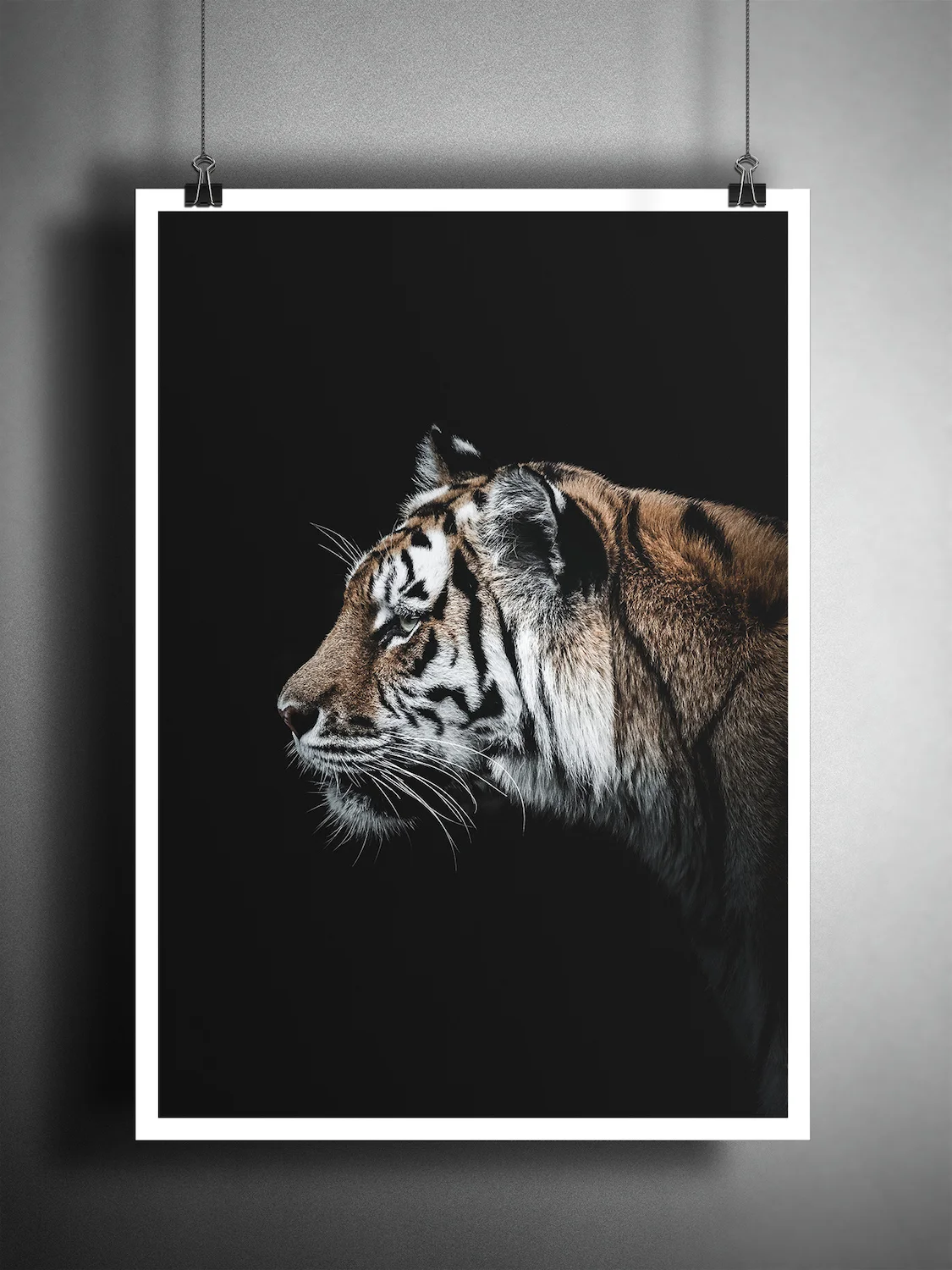 poster-tiger.jpg