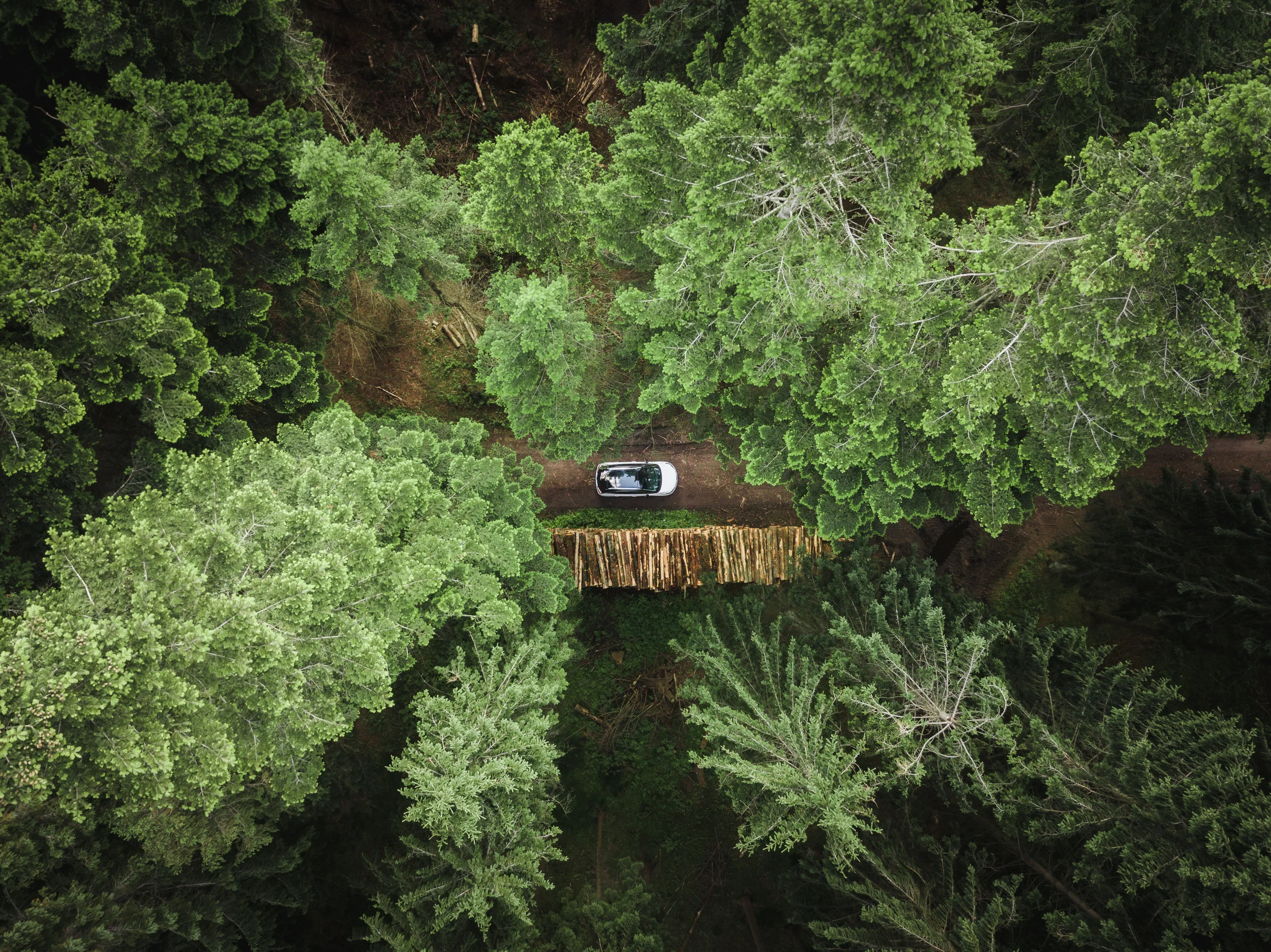DJI_0362.jpg
