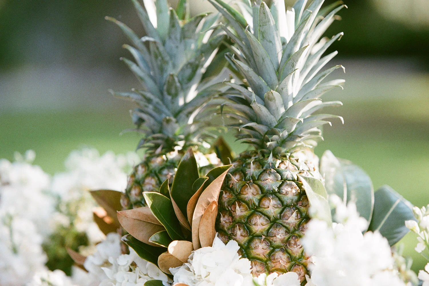 sapphireevents.com | Sapphire Events | New Orleans Wedding Planner and Designer | Inspirational Weddings | GK Photography