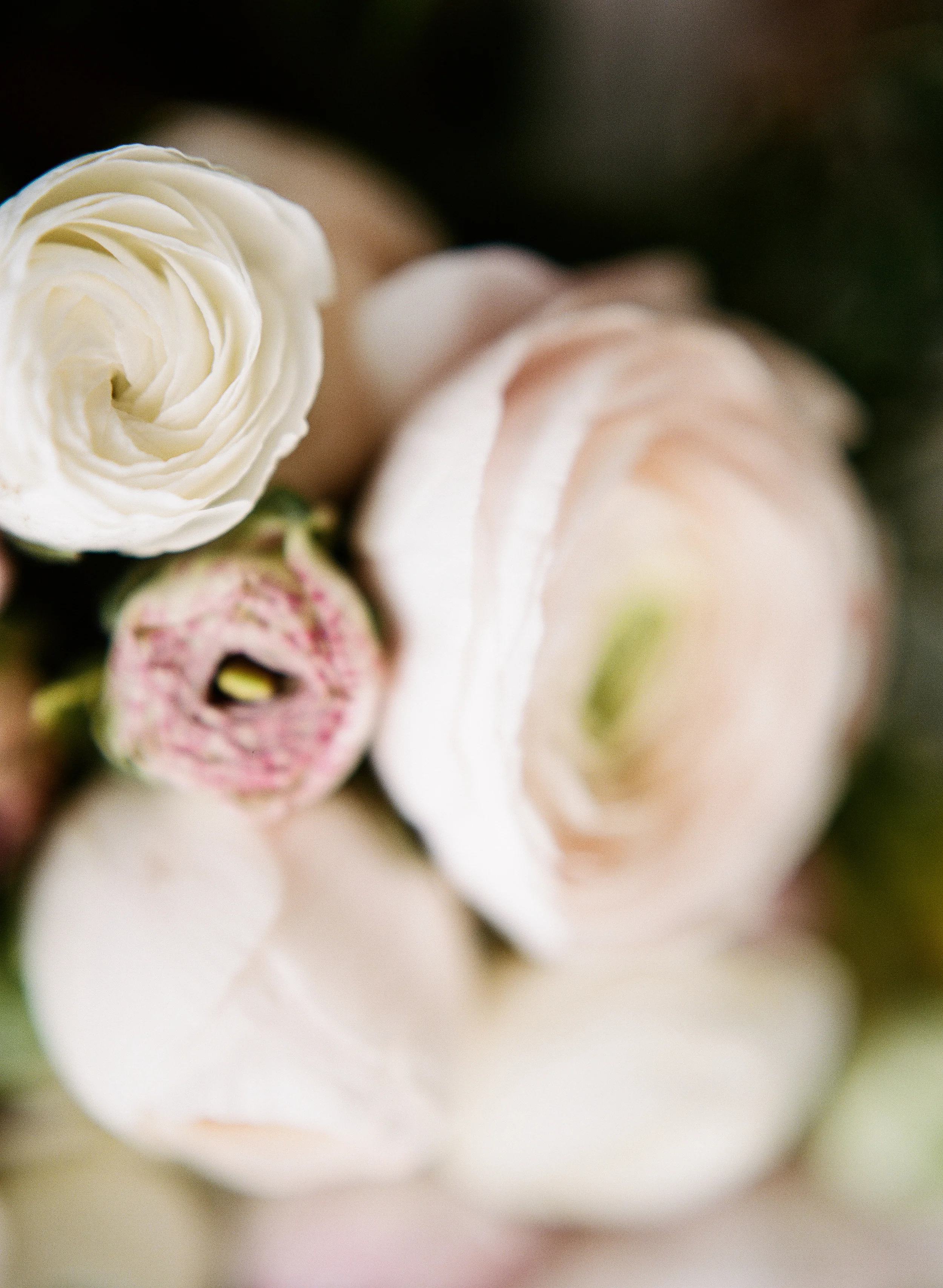 sapphireevents.com | Sapphire Events New Orleans and Destination Luxury Wedding Planning and Design | Elopement in Venice Inspiration | Archetype Studio | Laura Hooper Calligraphy