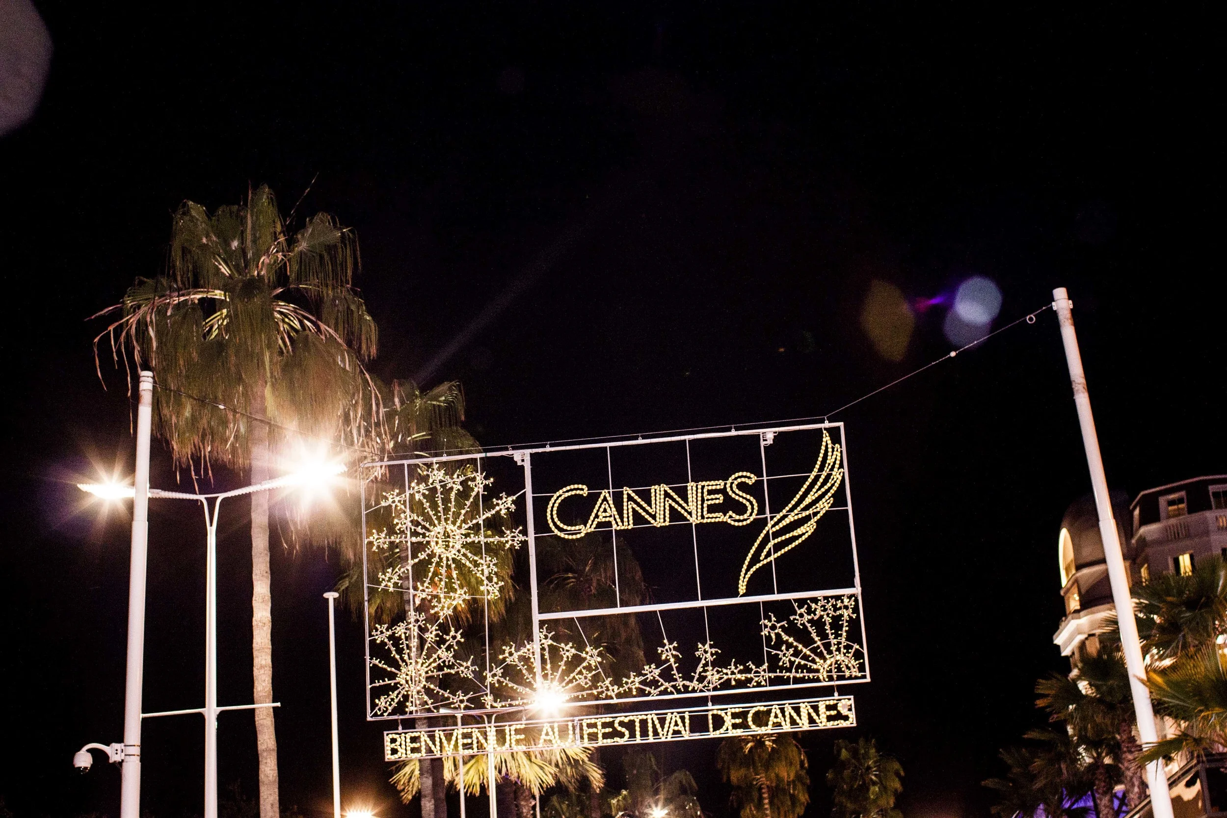 The 65th Cannes International Film Festival