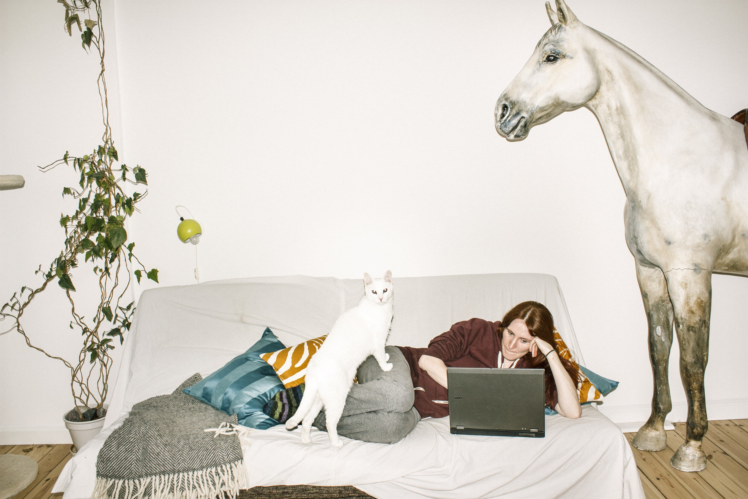 Cat and horse, Sydhavnen