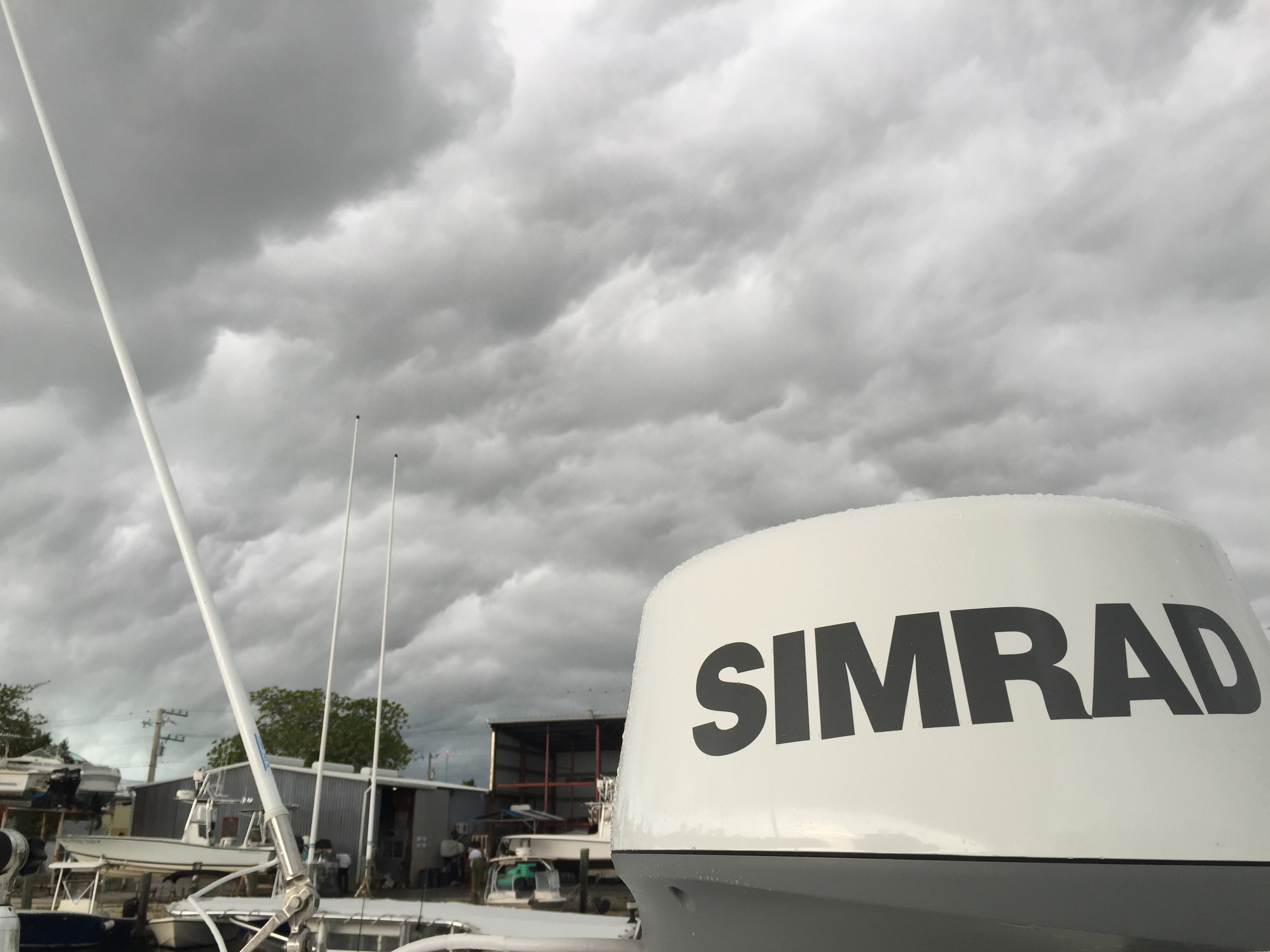 Do competing brands of Radar work with the Lowrance?