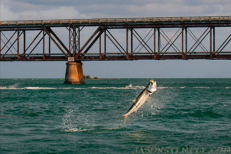 Question-Bahia Honda Rig For Tarpon?