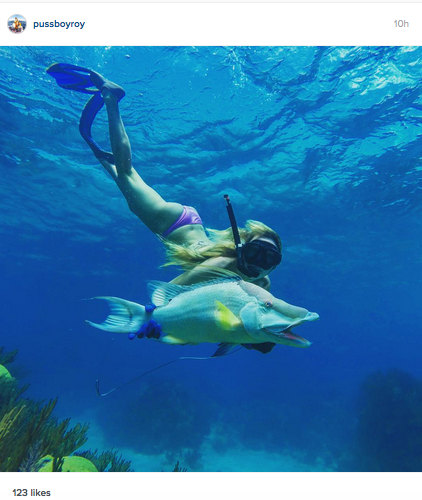 9 Awesome Instagram Posts from this week