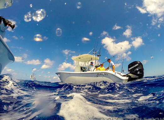 What Are The Lights On The Transom Of Your Yellowfin?