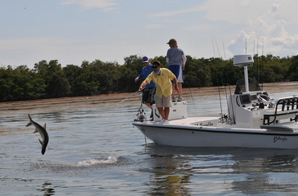Do Tarpon Prefer Dead Bait? Big Pine Key, Weeds, and Oxygen Levels Explained