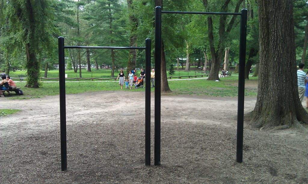 Pullup bars in NYC Central Park. No matter where you go, you can probably find a playground or public park with some sort of bar.