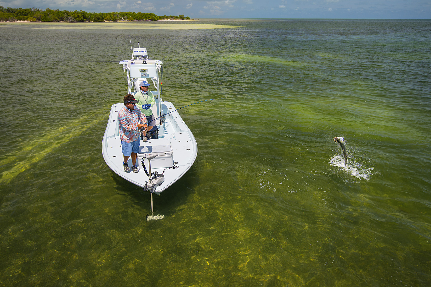 best bait for tarpon