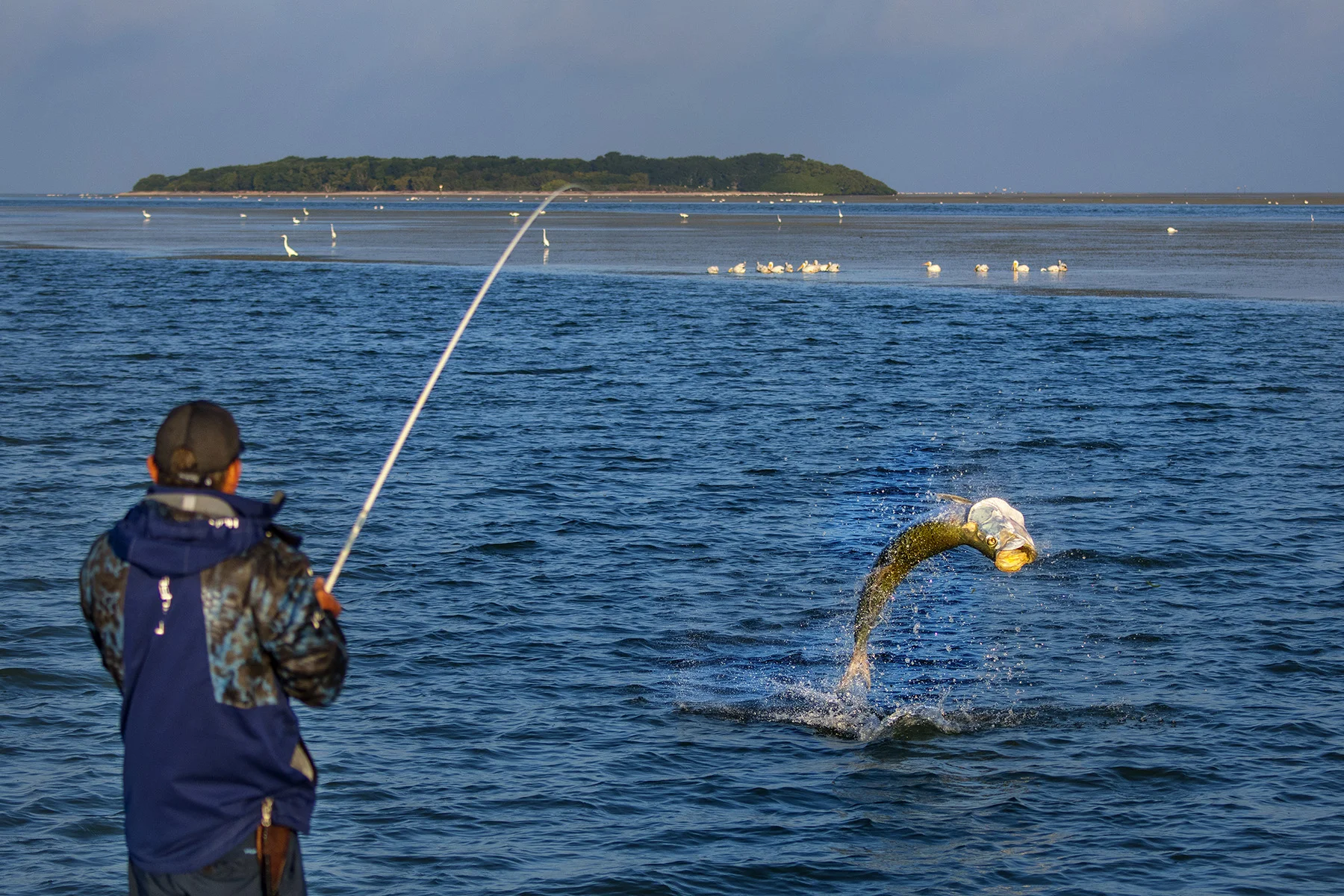 Saltwater Experience Sandy Key Monsters Giant Tarpon