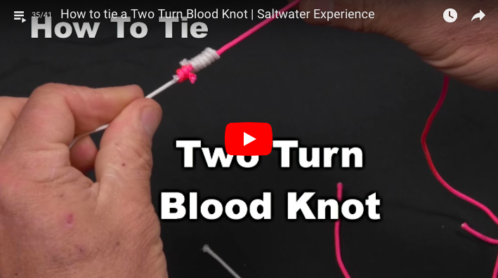 How To Tie A Two Turn Blood Knot For Attaching Two Different Size Lines Together-Tarpon Fishing
