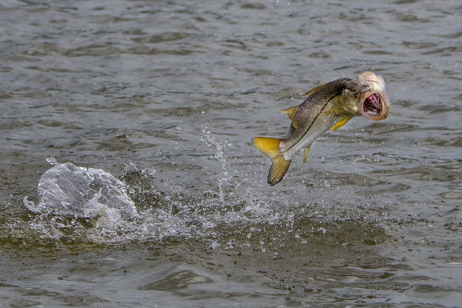 best jigging lures for lake trout Top 5 Lures For Jigging Lake Trout with the Lowrance Active Target