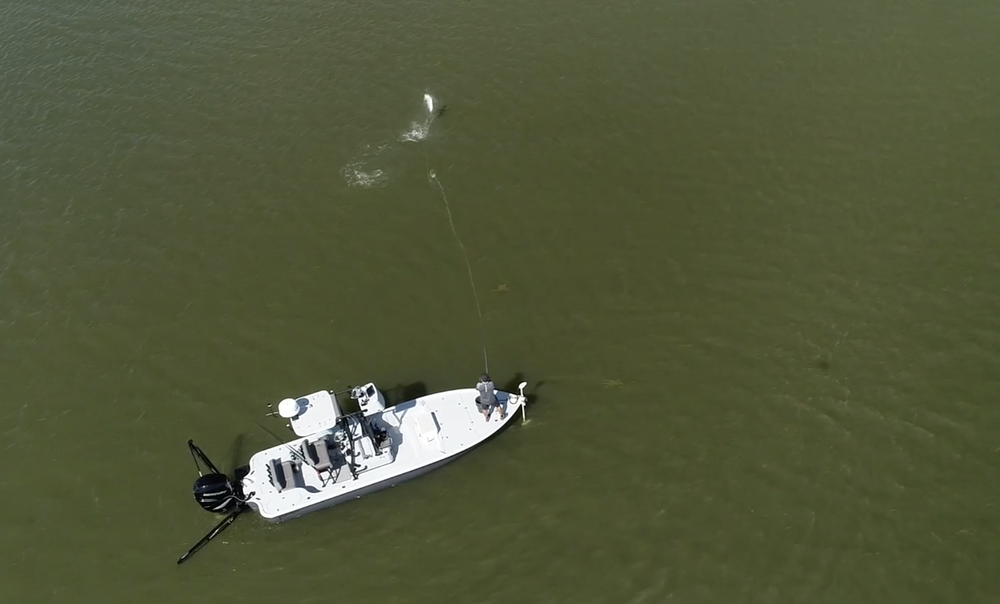 The Most Versatile 9 Foot 9 Weight Fly Rod For Florida Keys Fishing   Saltwater Experience Fishing