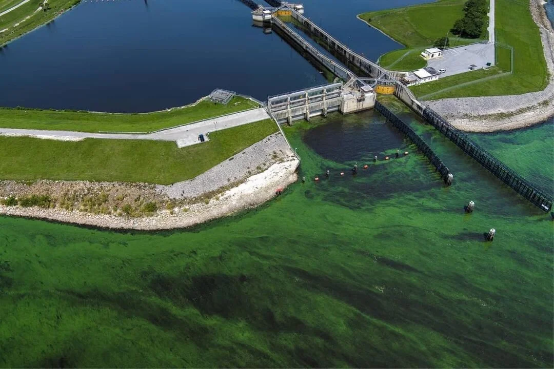 Hawks Cay Giveaway, Dead Fish In Tampa, Hot Water in Montana and Cold Showers at Home