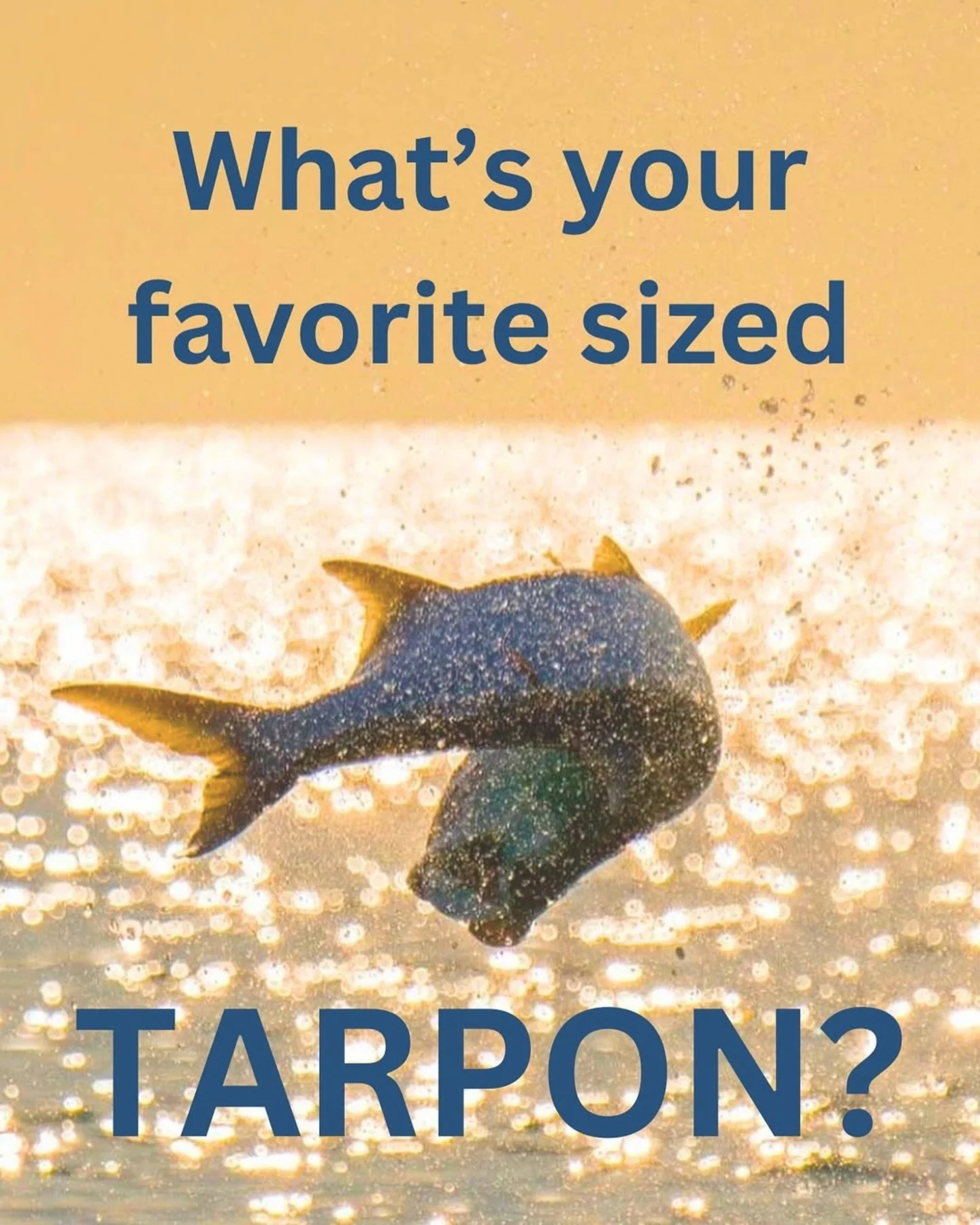 What&rsquo;s your favorite size tarpon to catch? 👑 Big, or small, we love them all!!
 
Either size we&rsquo;re locked and loaded with  @daiwausa rods and reels, if you want the smoothest drag check out all the reels we use online at @tackledirect al