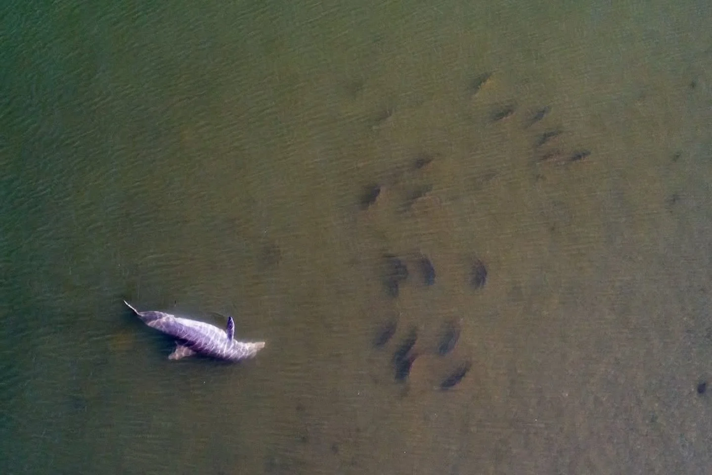Incredible drone shots from our own man behind the scenes @jasonstemplephoto 📸💯