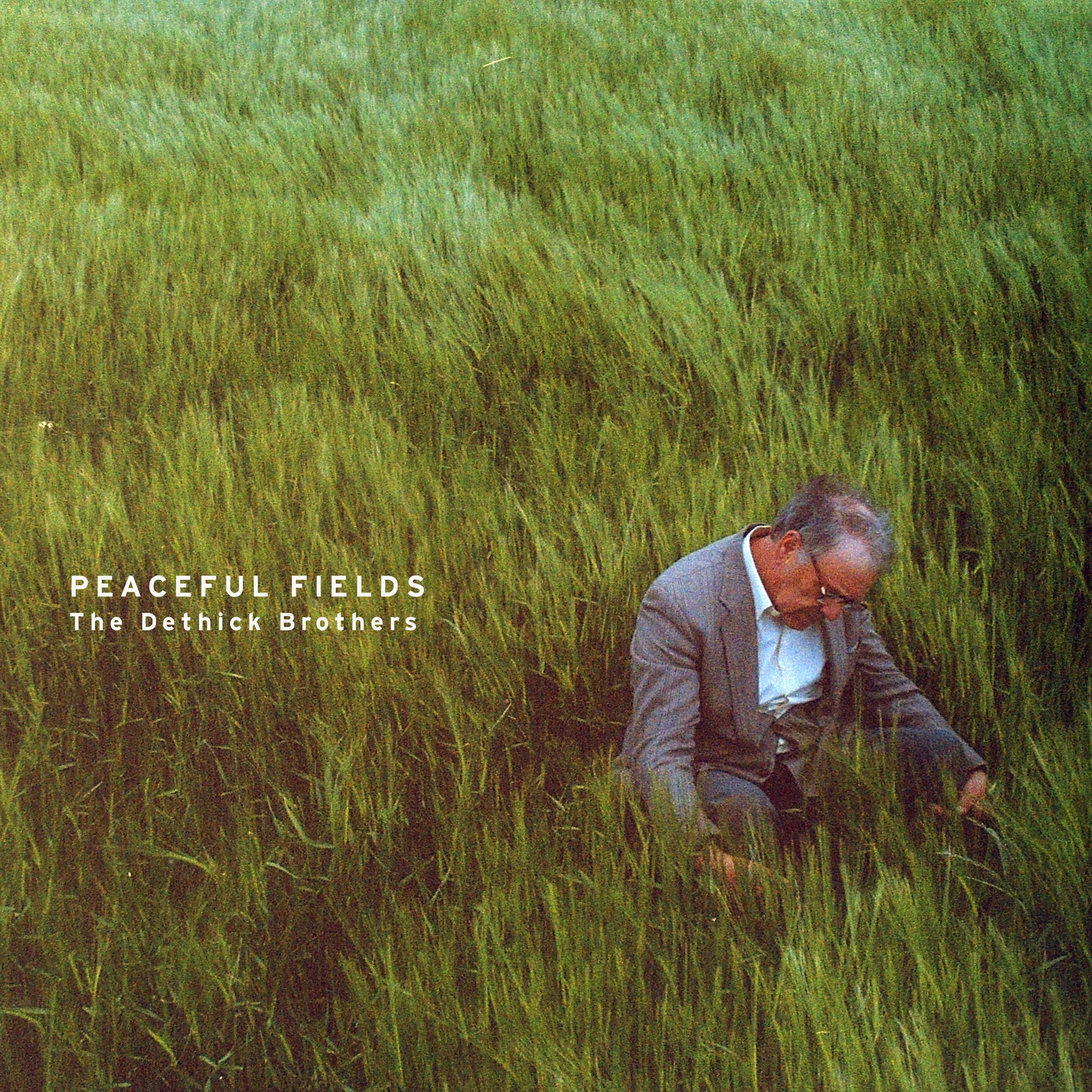 Peaceful Fields - ALBUM ART.jpg