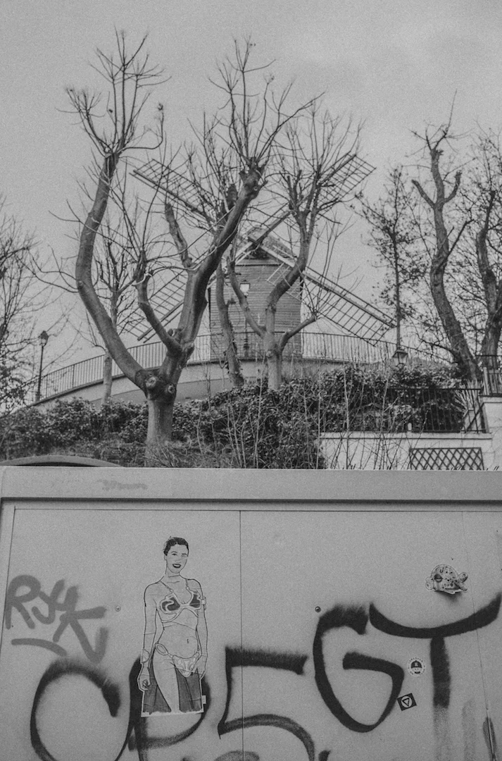 DSCF0972.jpg