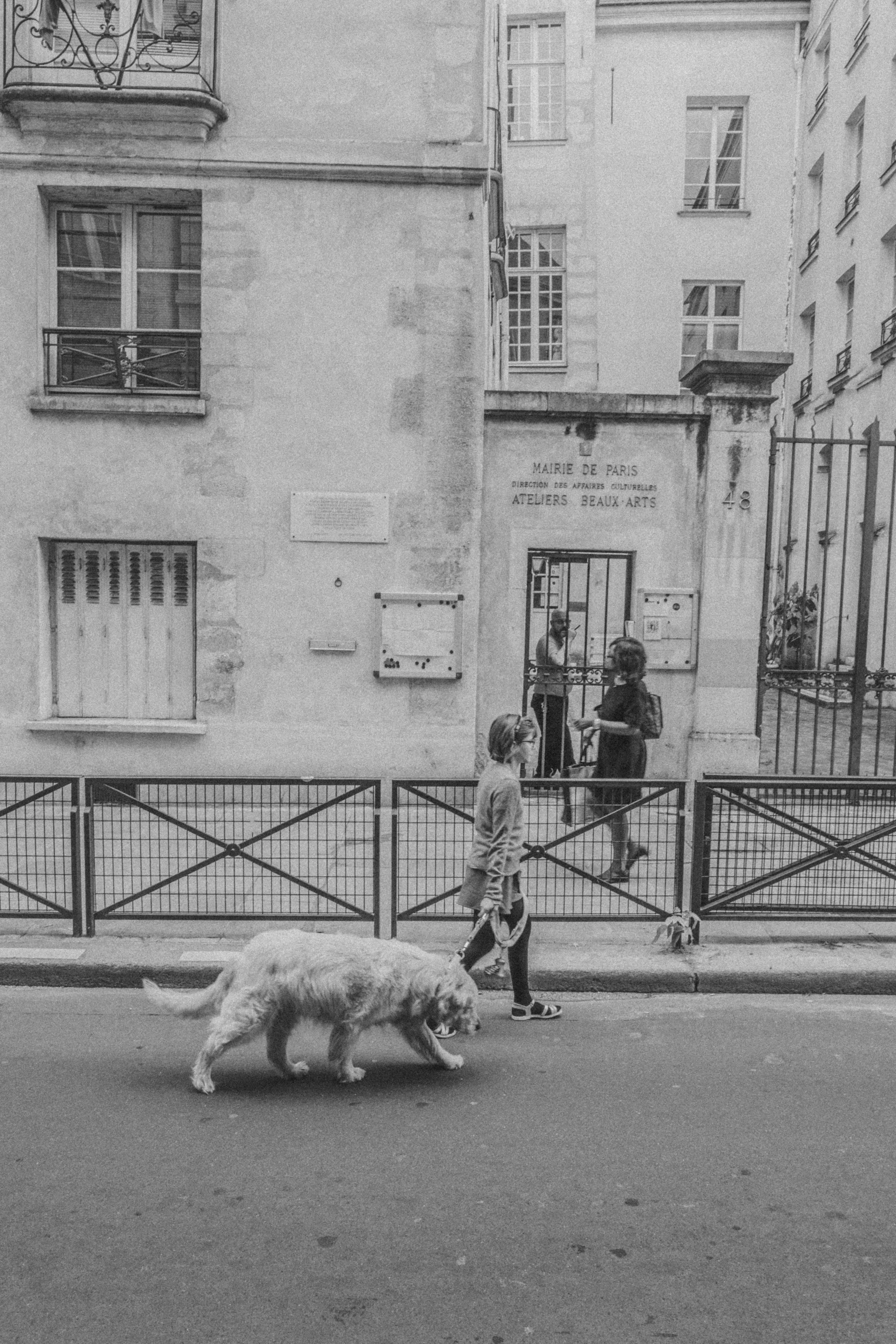 L1070605.jpeg