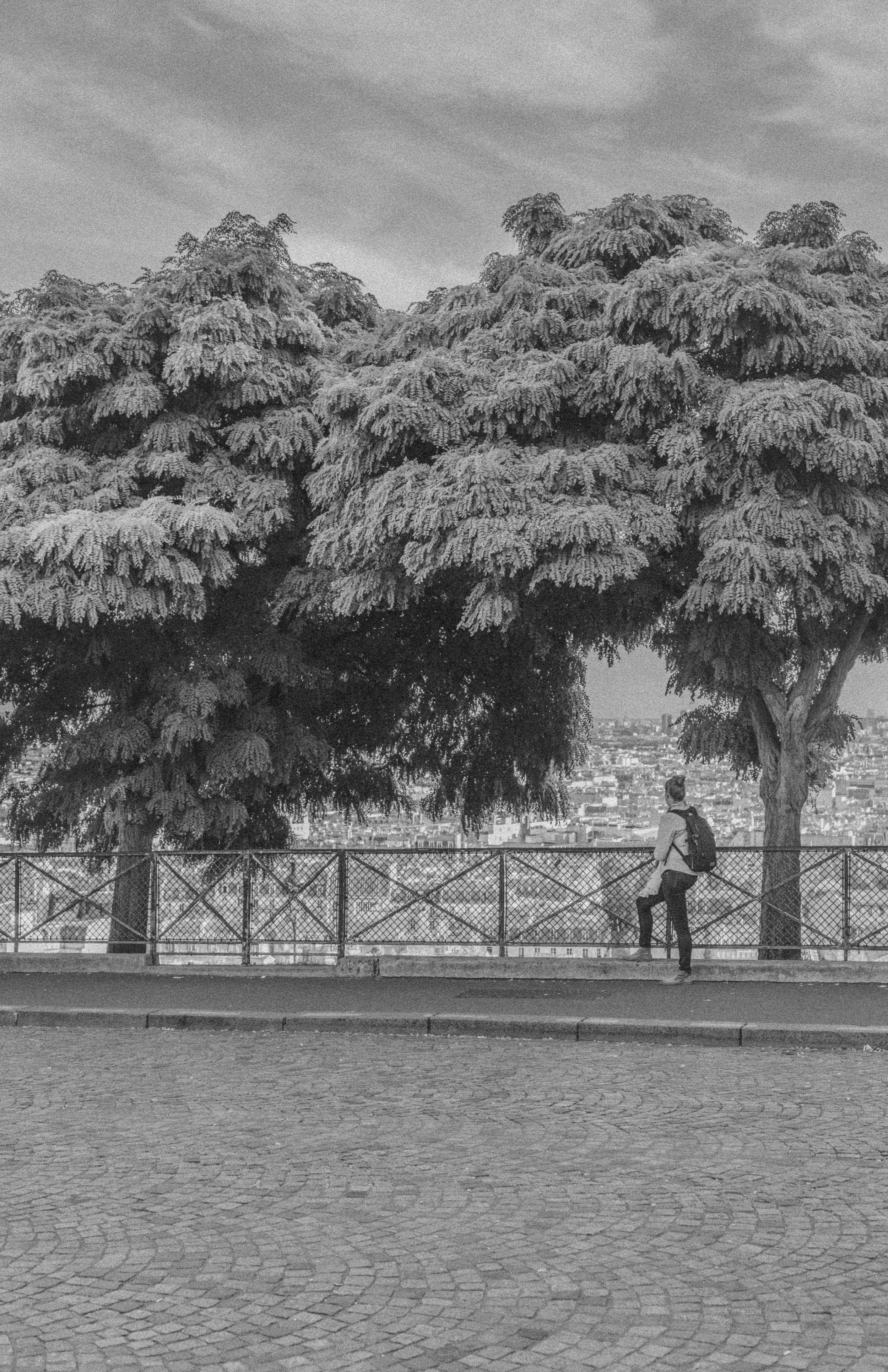 L1070738.jpeg