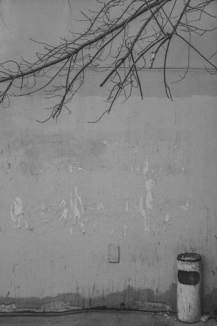 DSCF0193.jpg