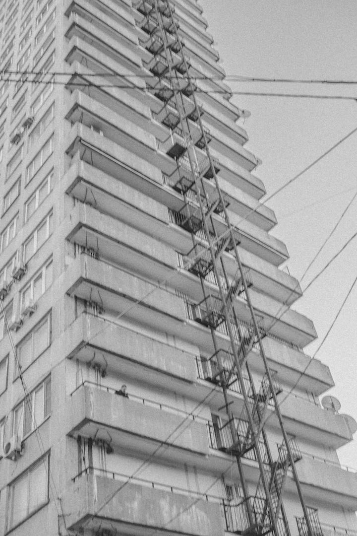 DSCF0230.jpg