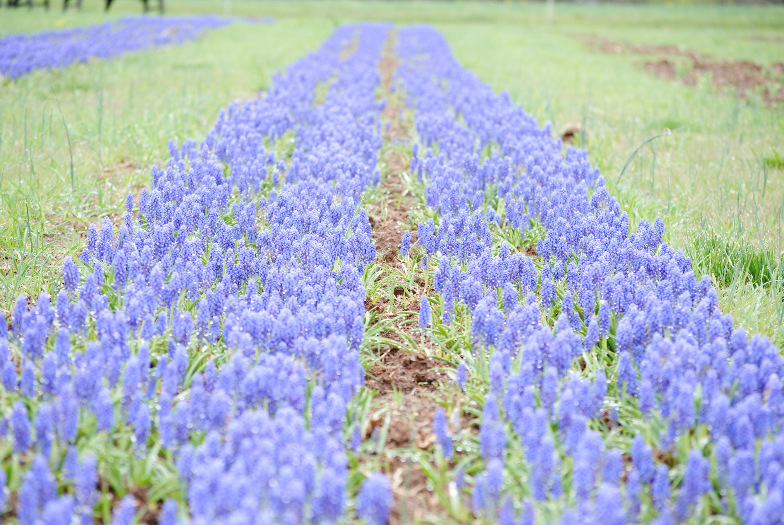 DSC_0473.jpg