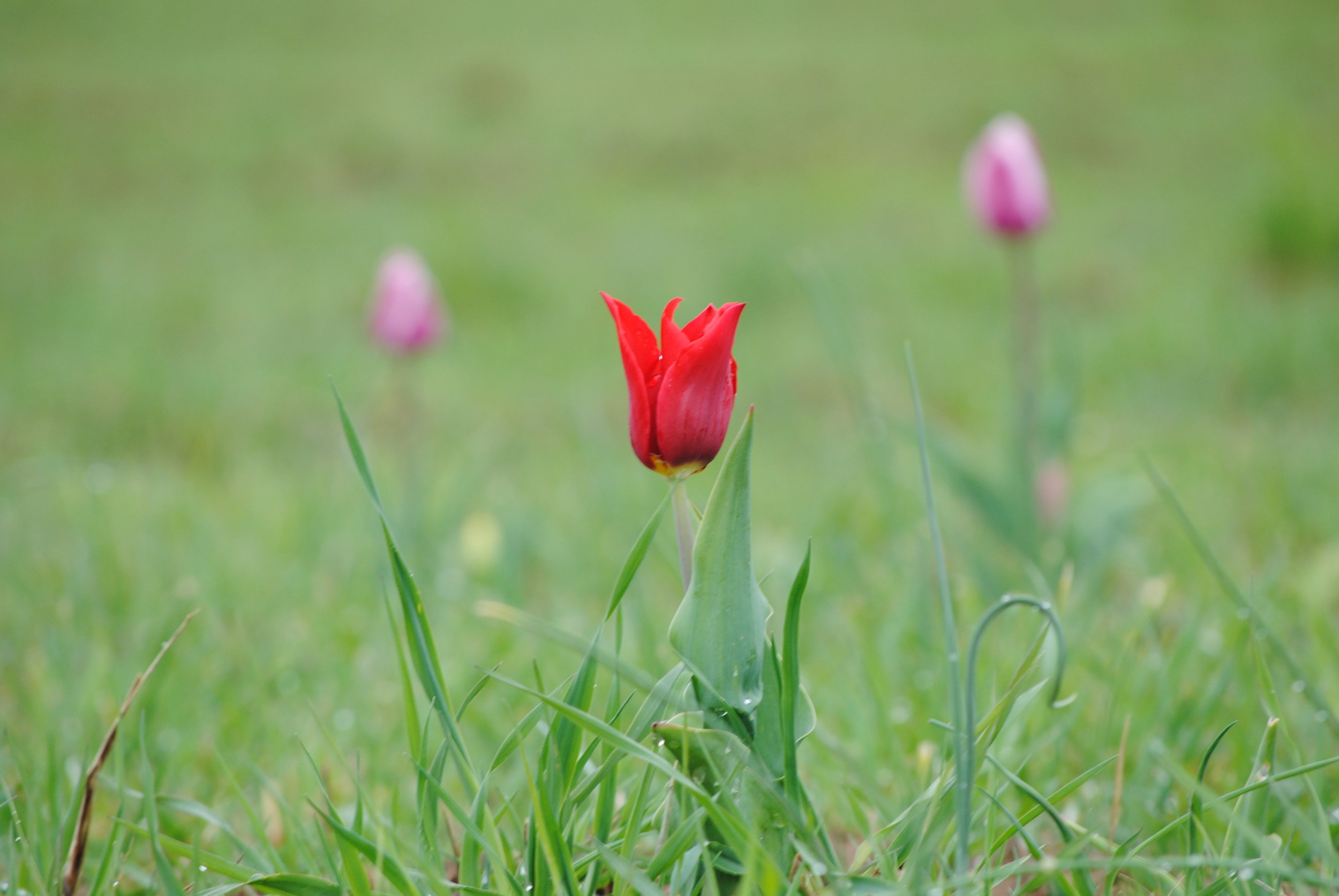 DSC_0478.jpg