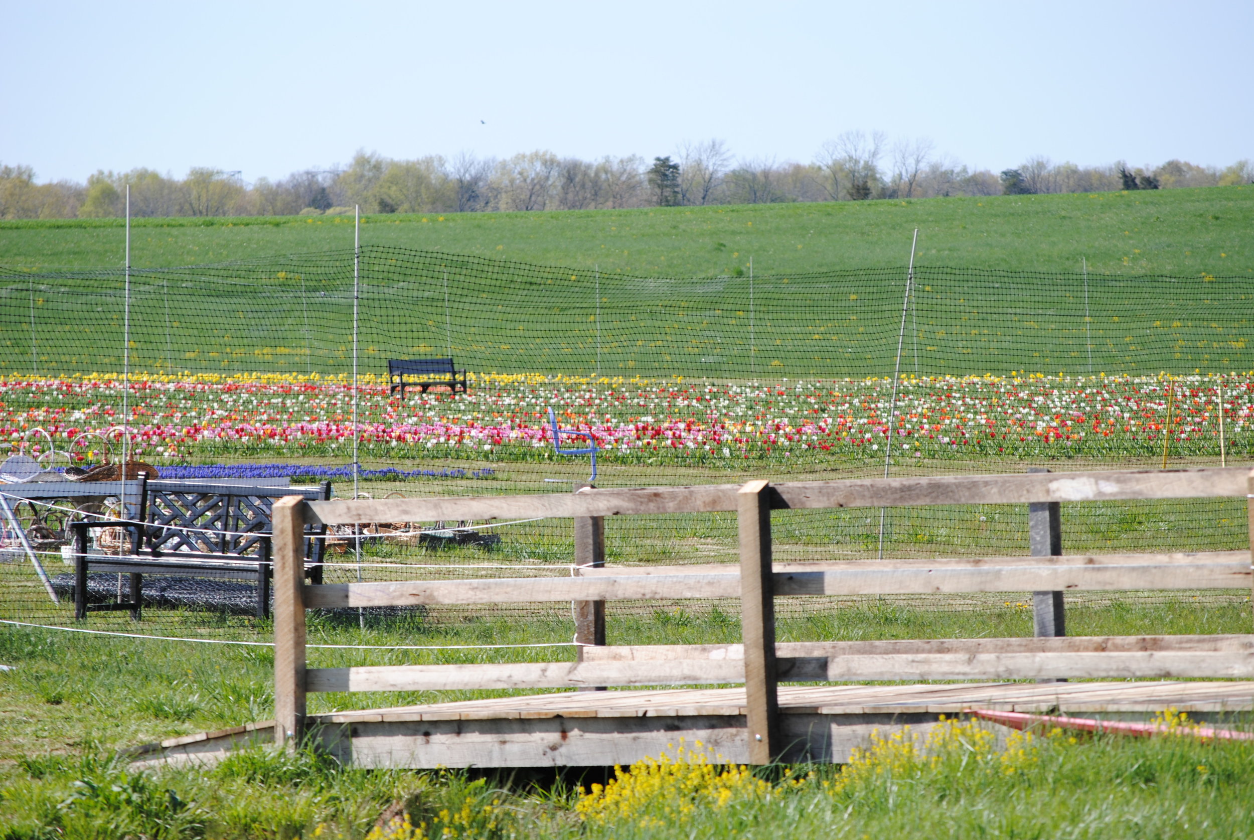 DSC_0489.jpg