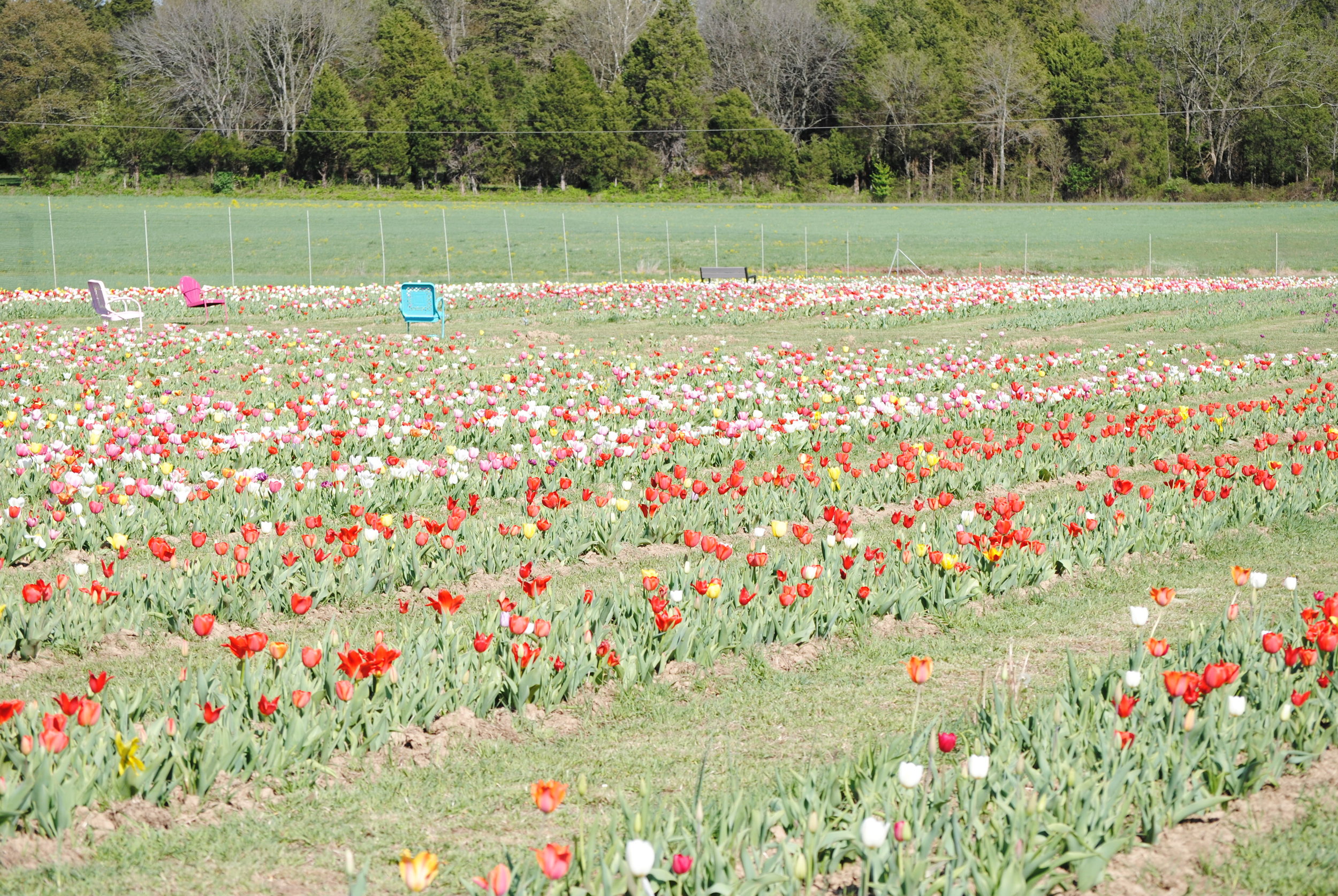 DSC_0497.jpg