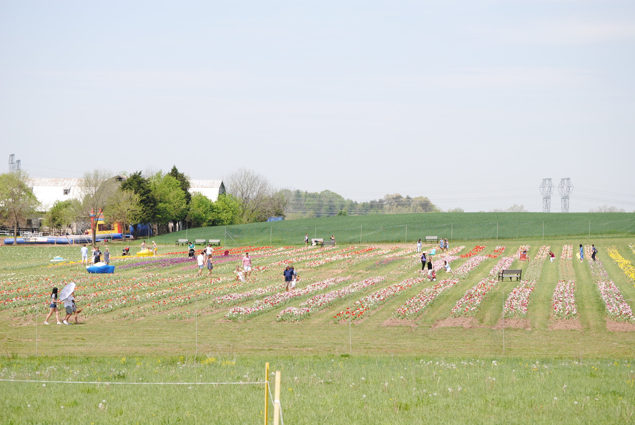 DSC_0511.jpg