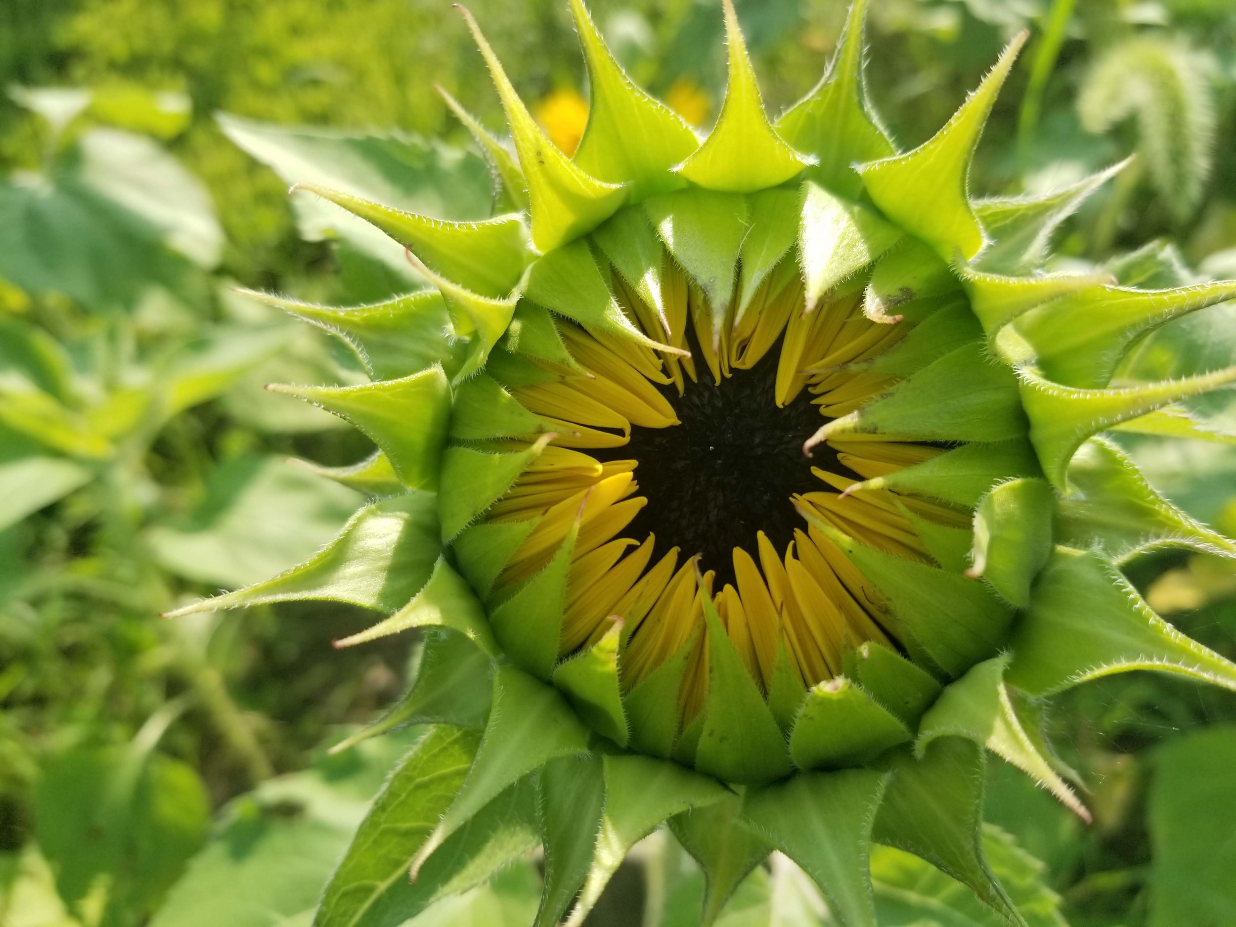20180816_174226.jpg