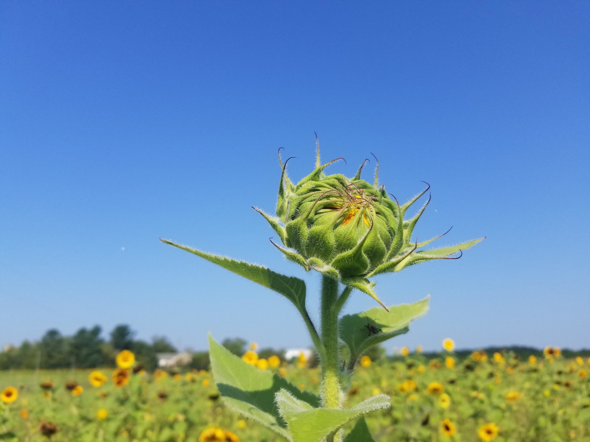 20180829_100850.jpg