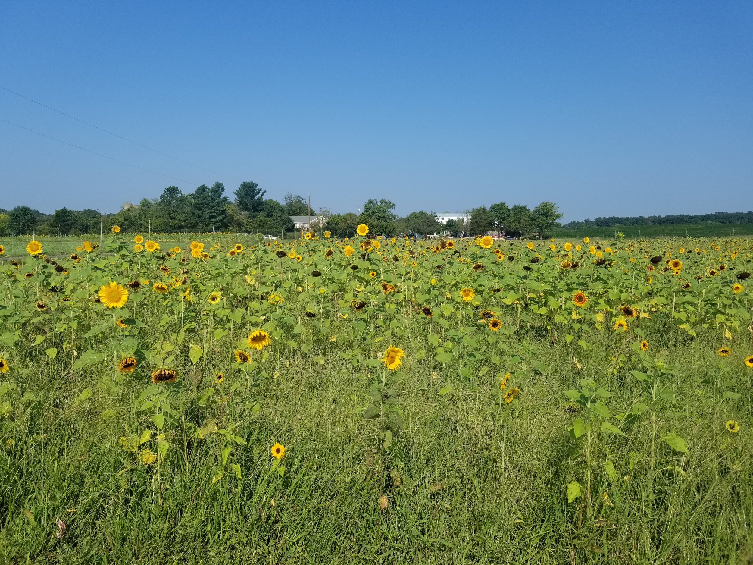 20180829_100911.jpg