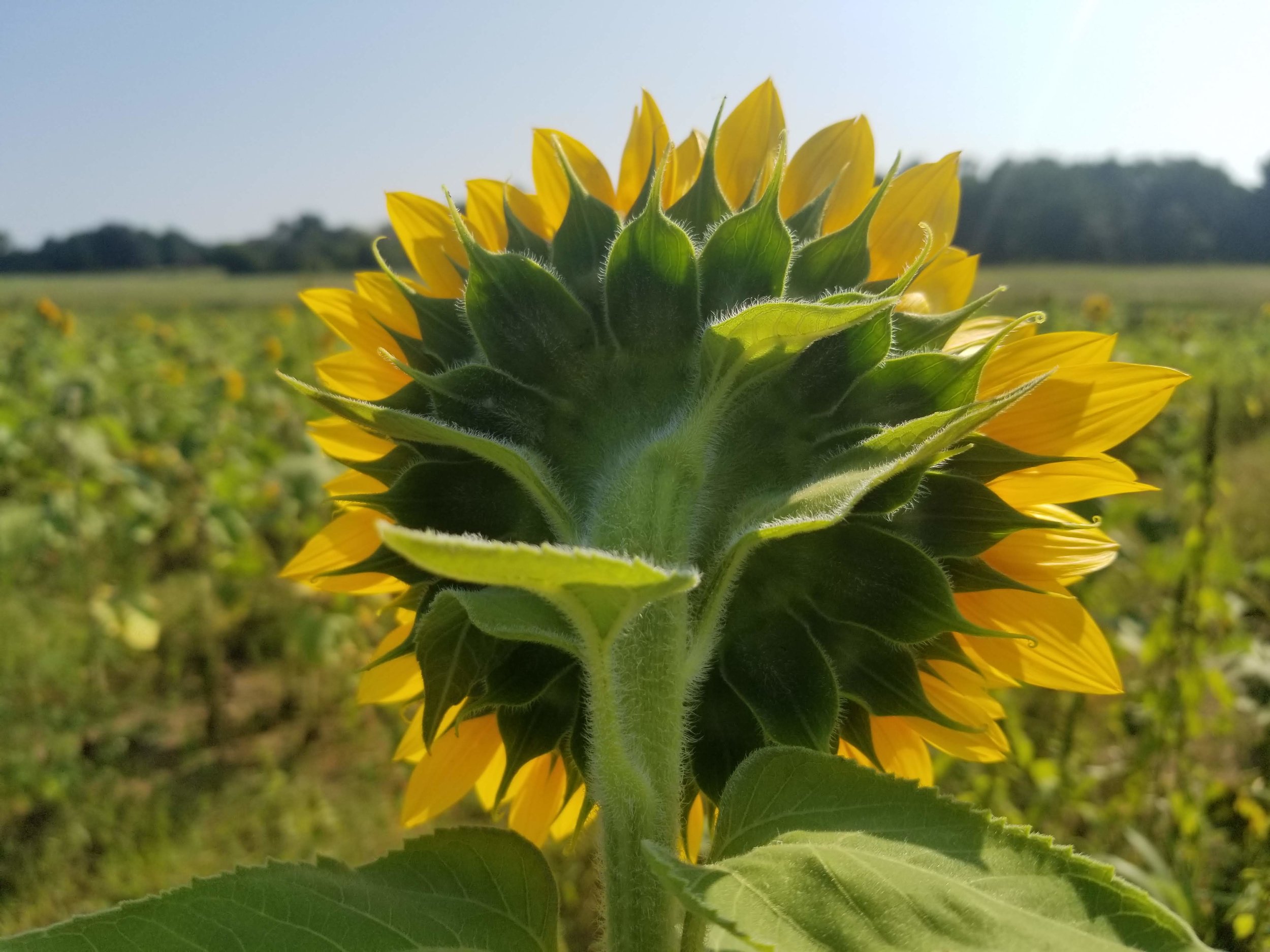20180829_101341.jpg