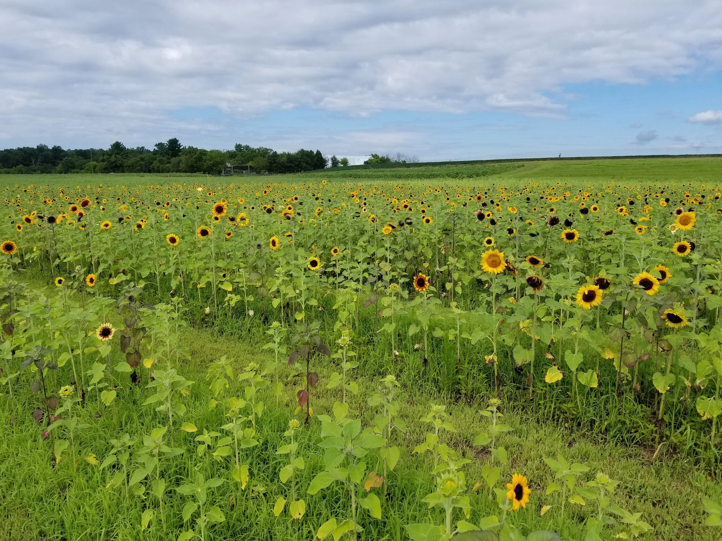 20190718_102244.jpg