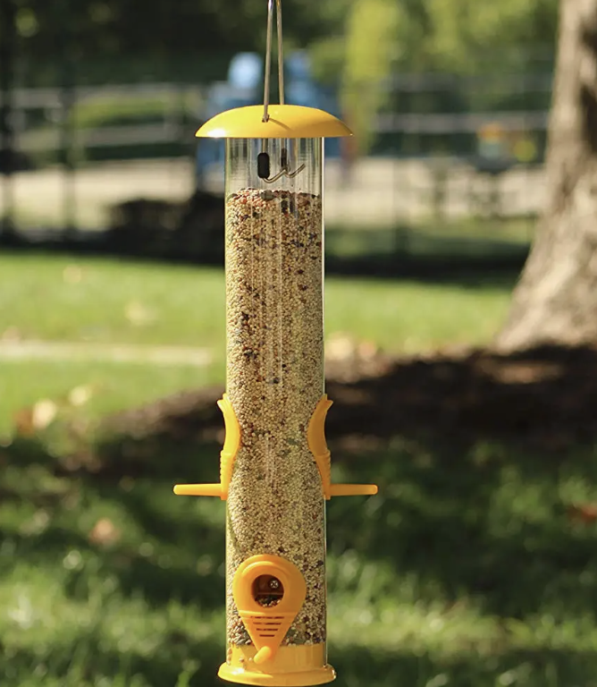 Ashman Bird Feeder