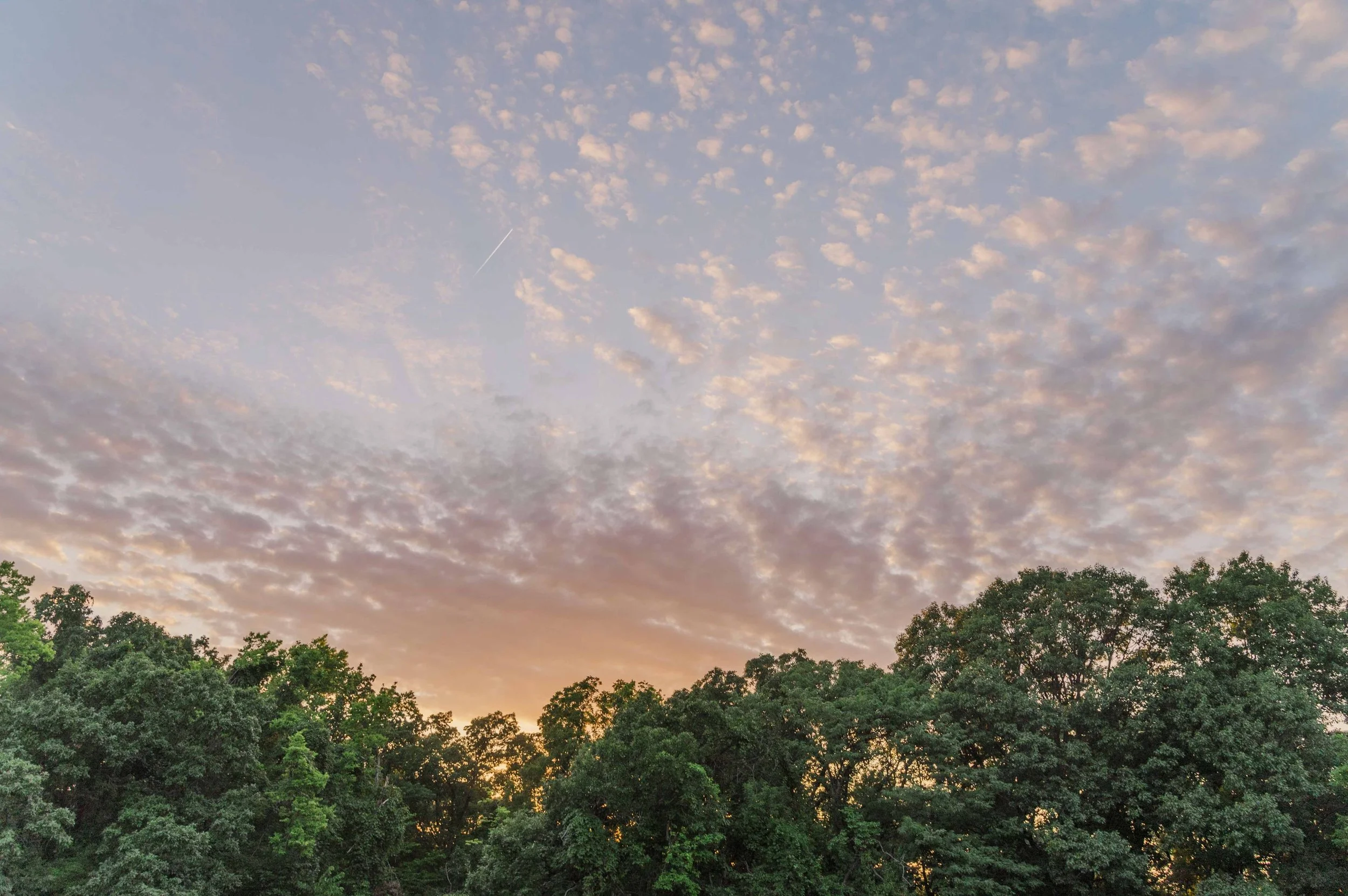 5cf092bd-c701-58dd-b603-cf7d56d20791 (1).jpg