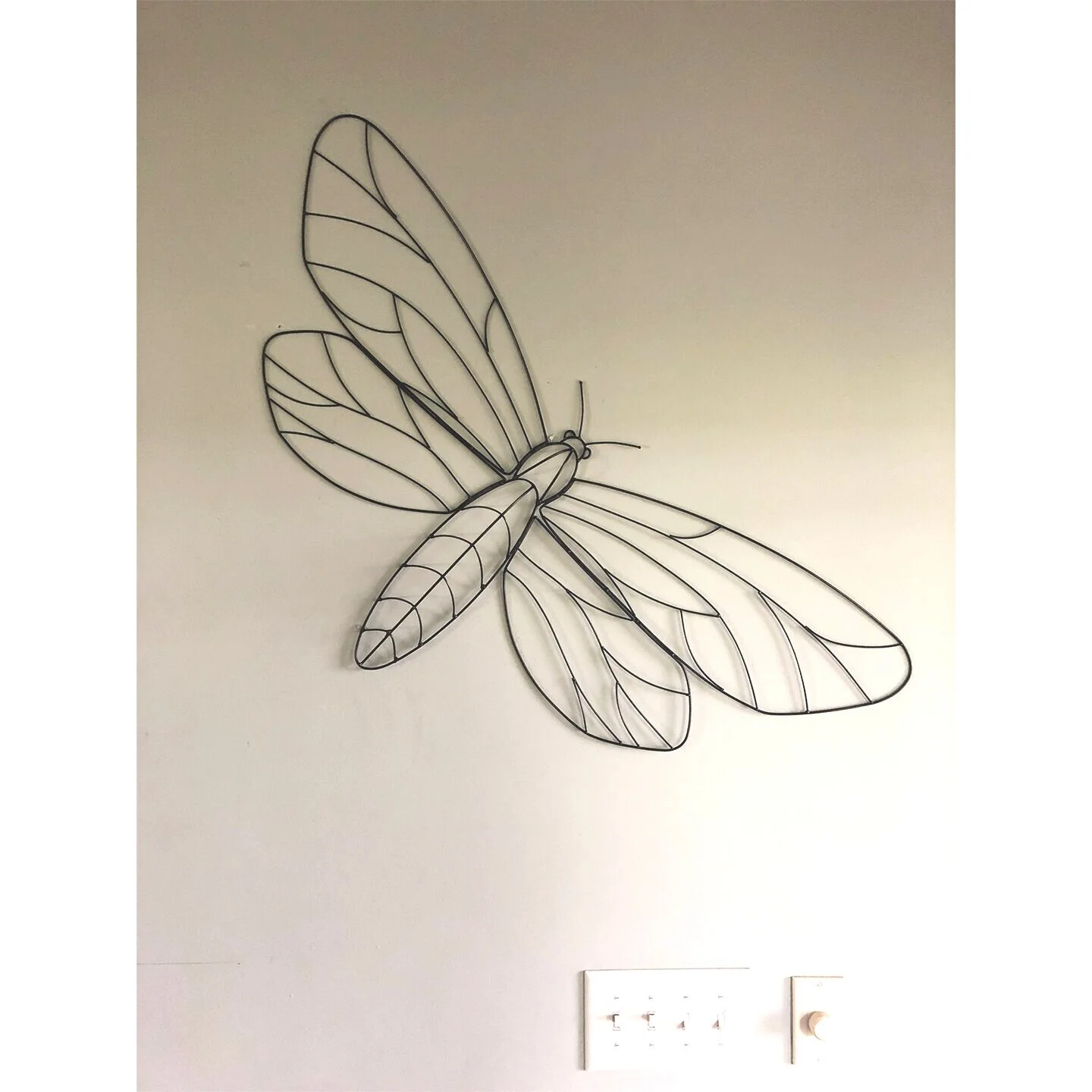 Moth.jpg