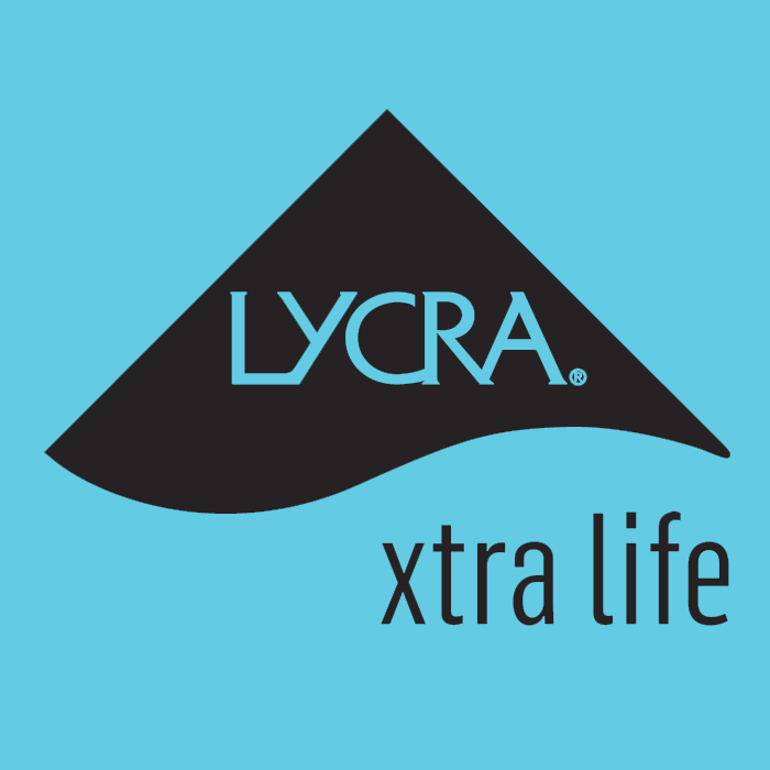 Lycra Logo BL.png