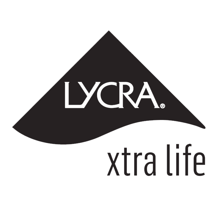 Lycra Logo GREY.png