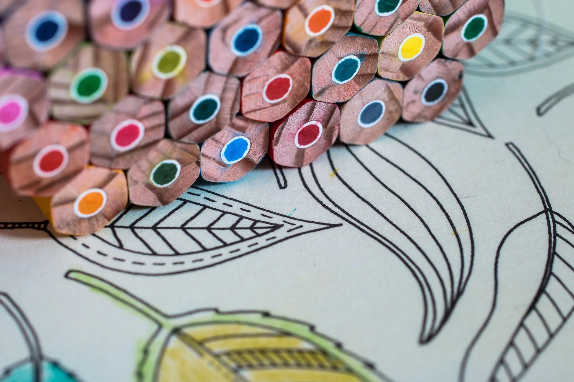 colouring.jpg