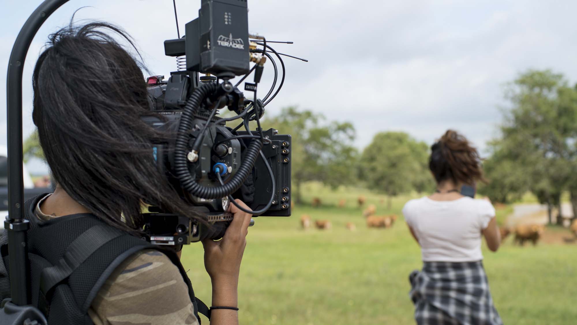 GK_Carnivorous-Heartbrand-Ranch-Photographing-Cows-16x9-H.jpg