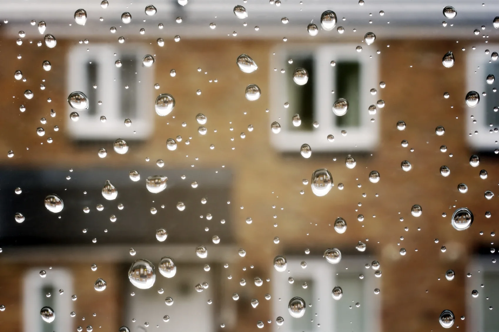      

 
    En esta época caen lluvias en gran parte del territorio nacional y pueden ser perjudiciales para las viviendas, por eso, es indispensable que te prevengas con una serie de acciones y evitar así disgustos a corto, mediano o largo plazos. 