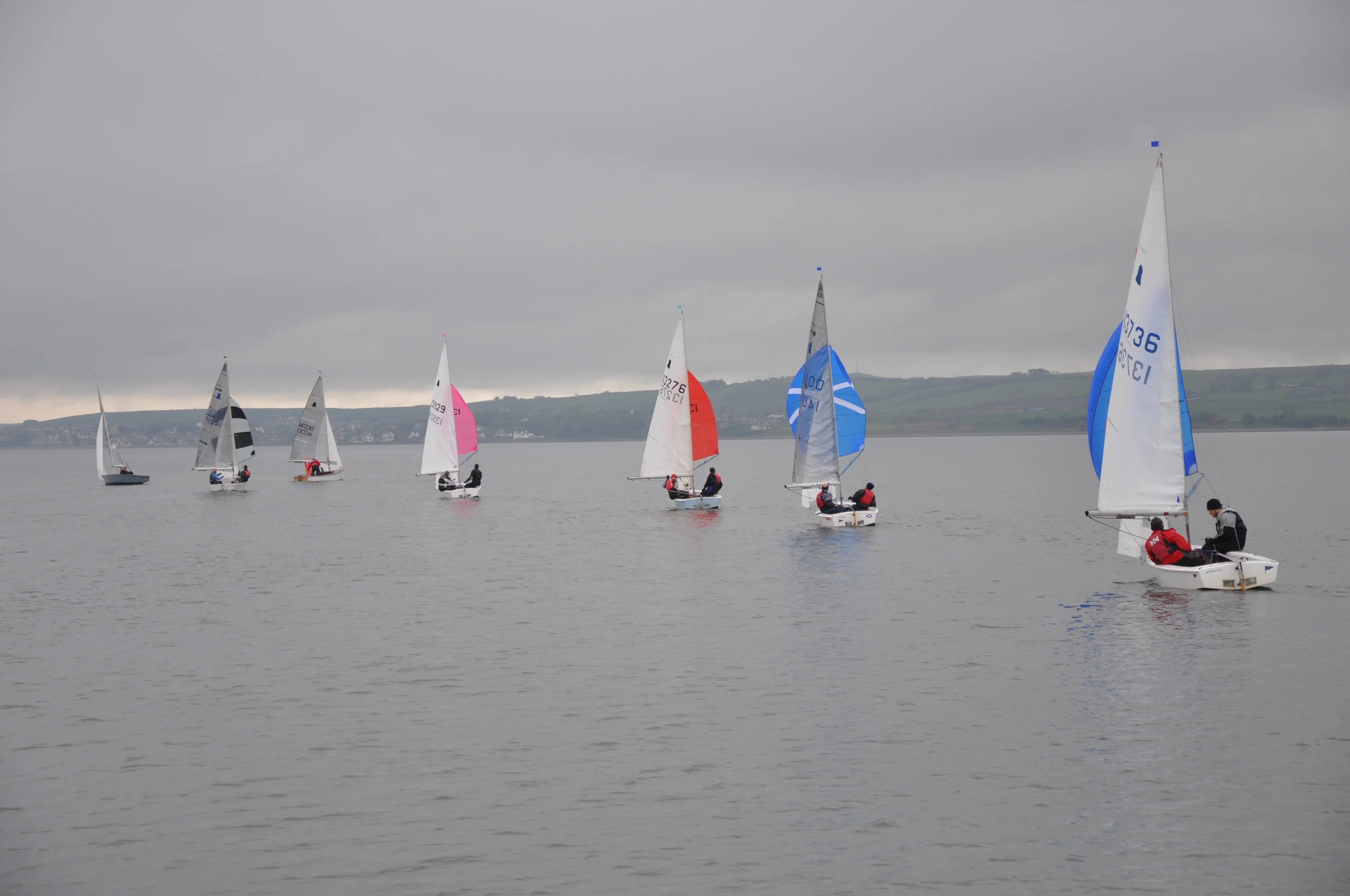 Regatta