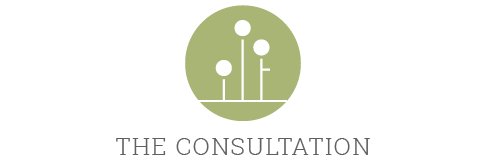 icon_consultation-01.png