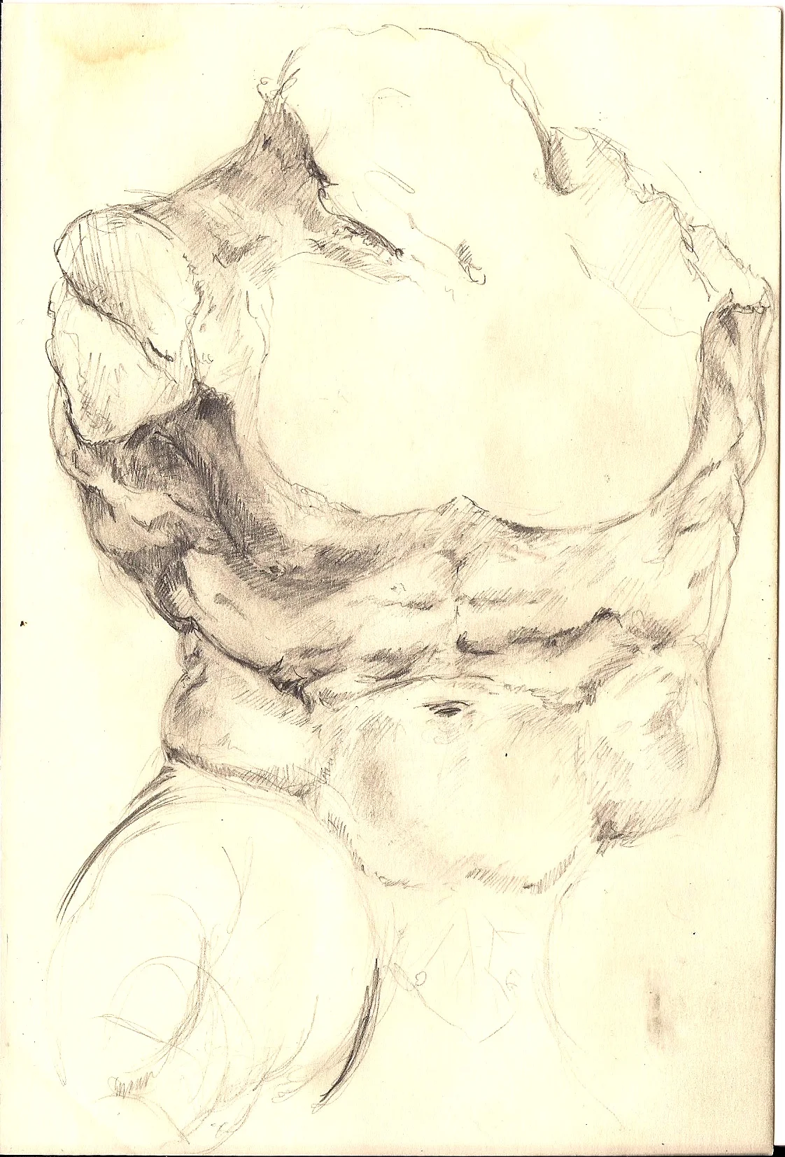 Torso Study 2005.jpg